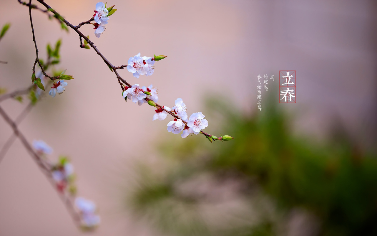 1675494718275936.png 微信截图_20230204150230.png
